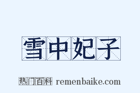 雪中妃子是什么意思的图片